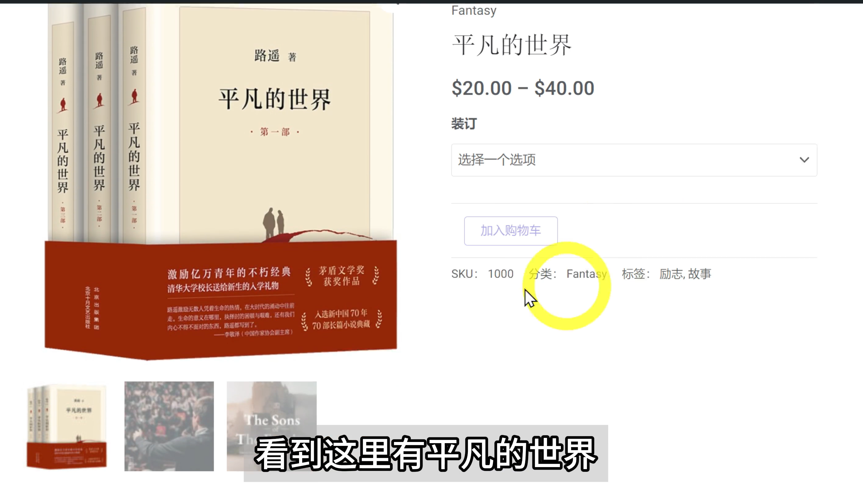 14.WordPress 安装完成后的初始设置和配置步骤